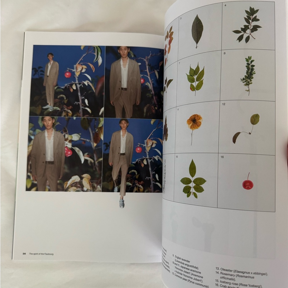 Hermes Magazine - Picture 2 of 5